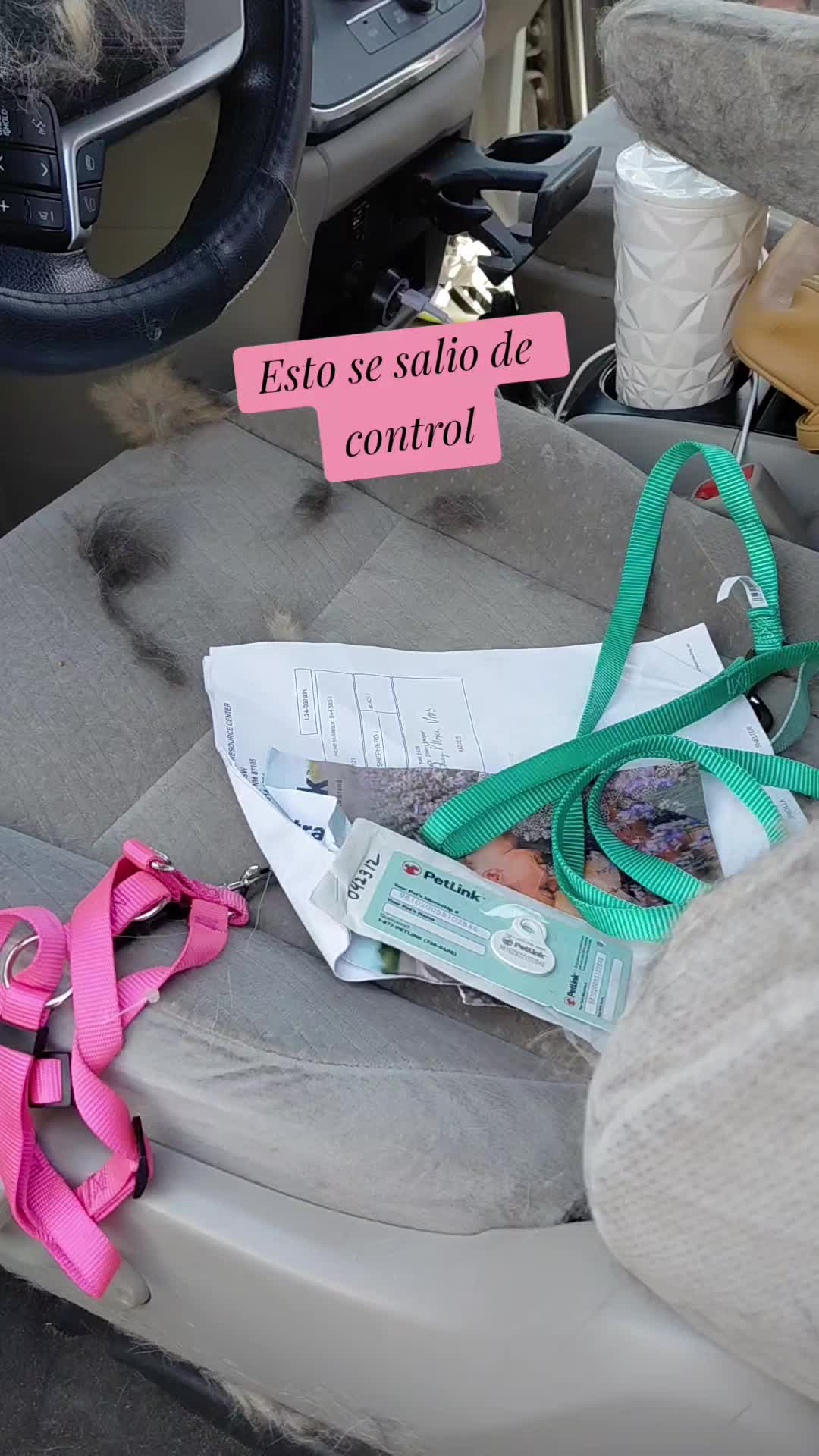 @chuchis