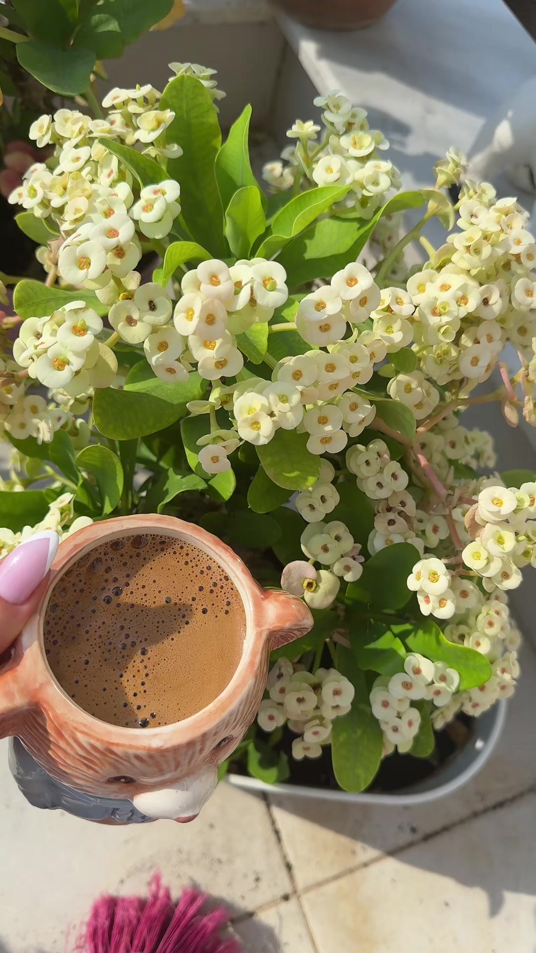 @Begüş🧚♀️