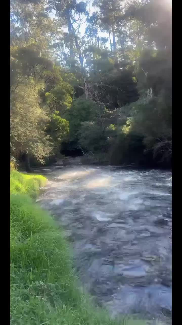 @Tilly by Nature