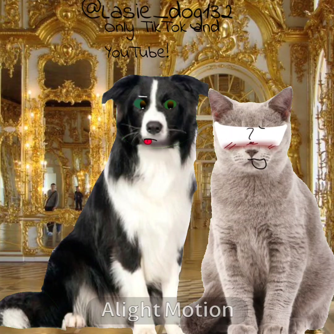 @собака Лейси👑|||🐶✅🐱✅