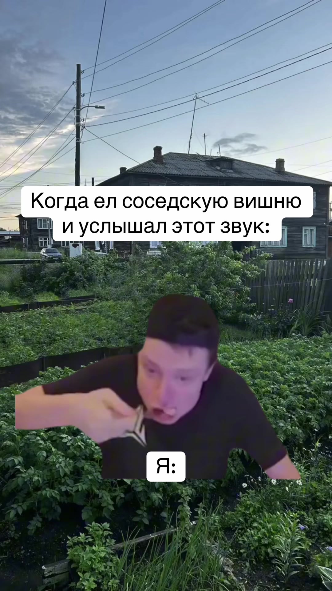 @MellFan