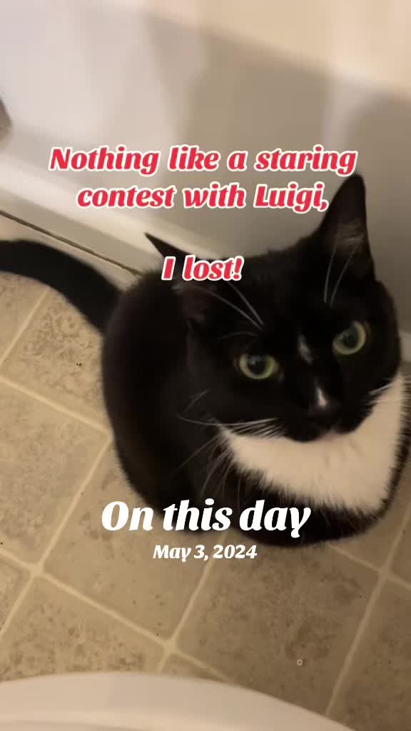 @Pablo & Luigi 🐾