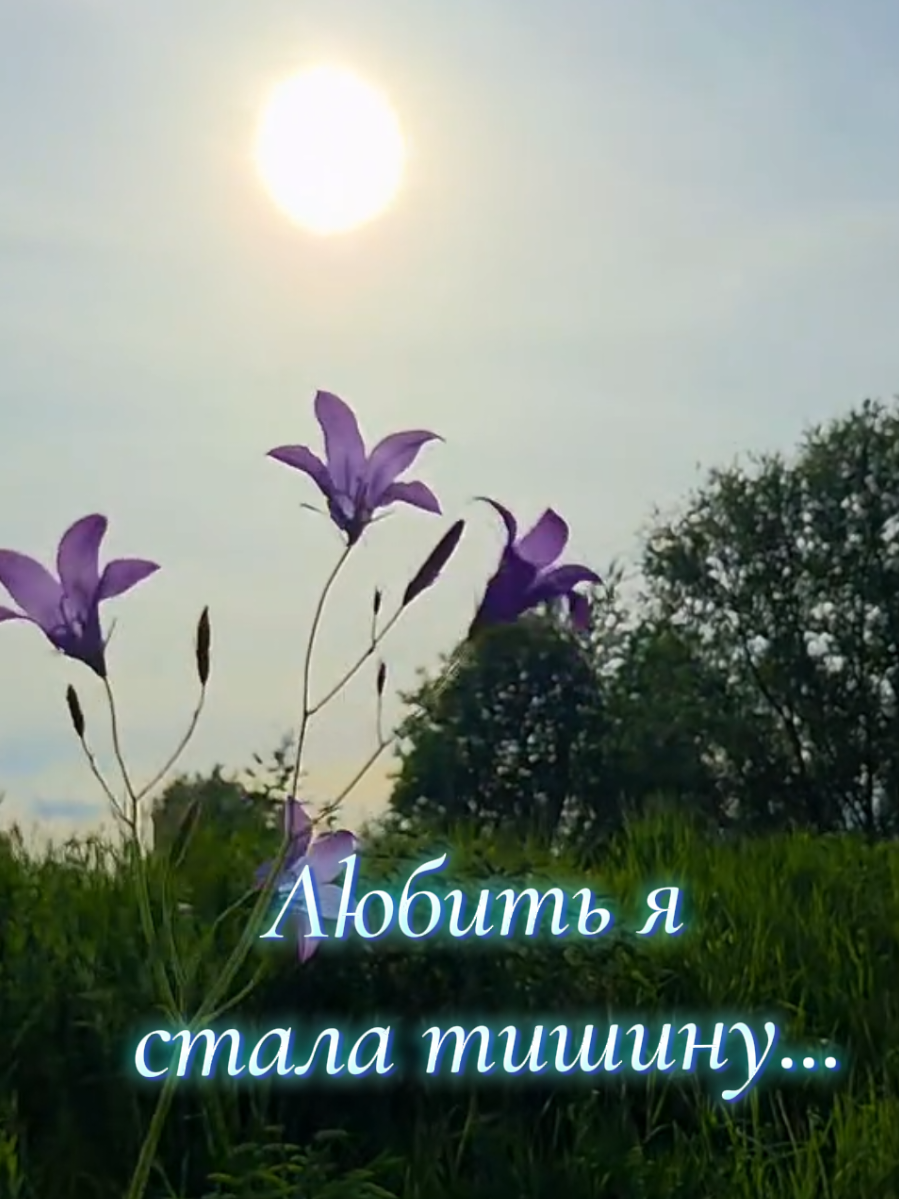 @✨Елена✨