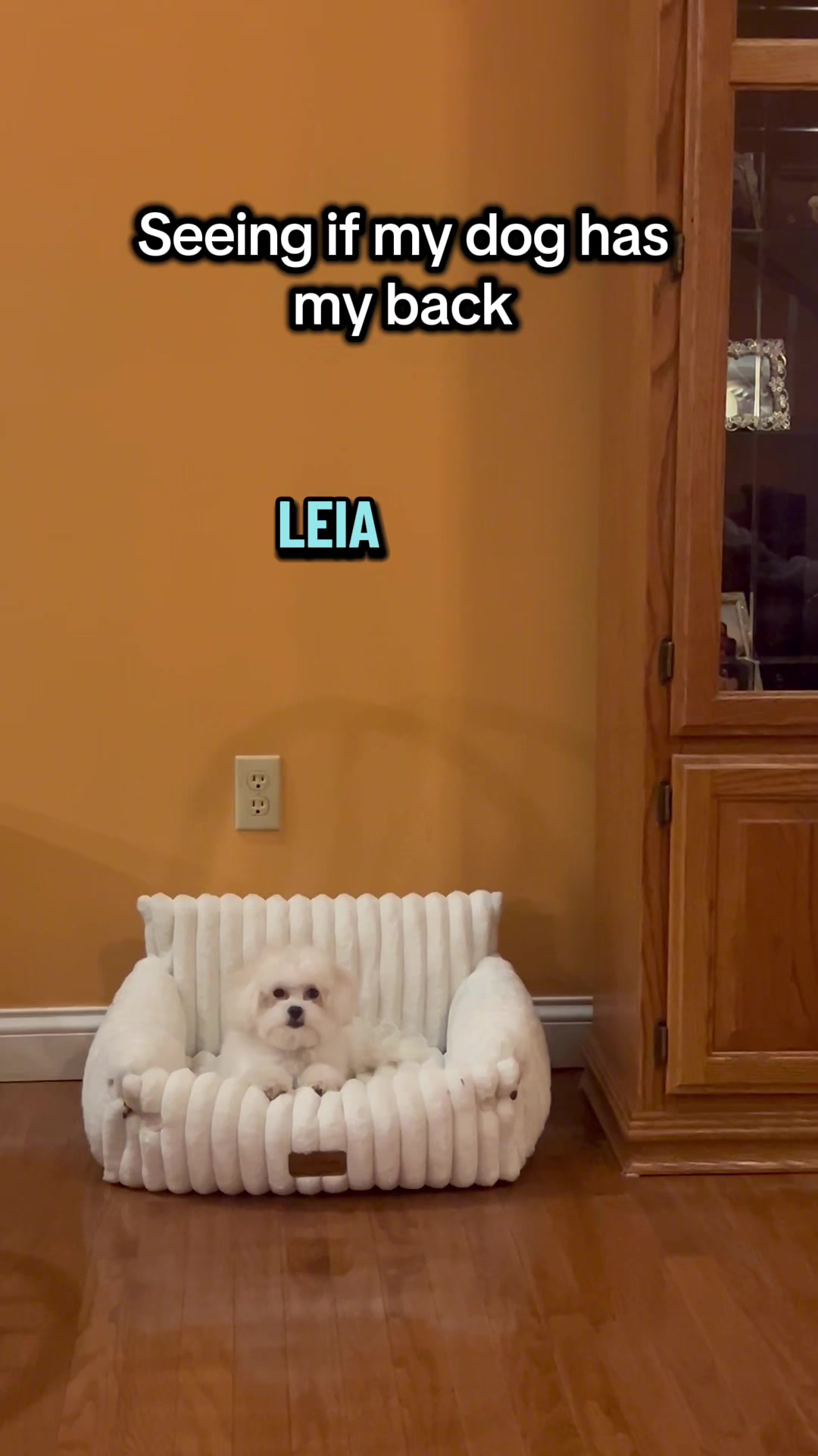 @Life with Leia