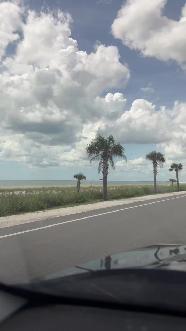 @Carrabelle-Gal🌞
