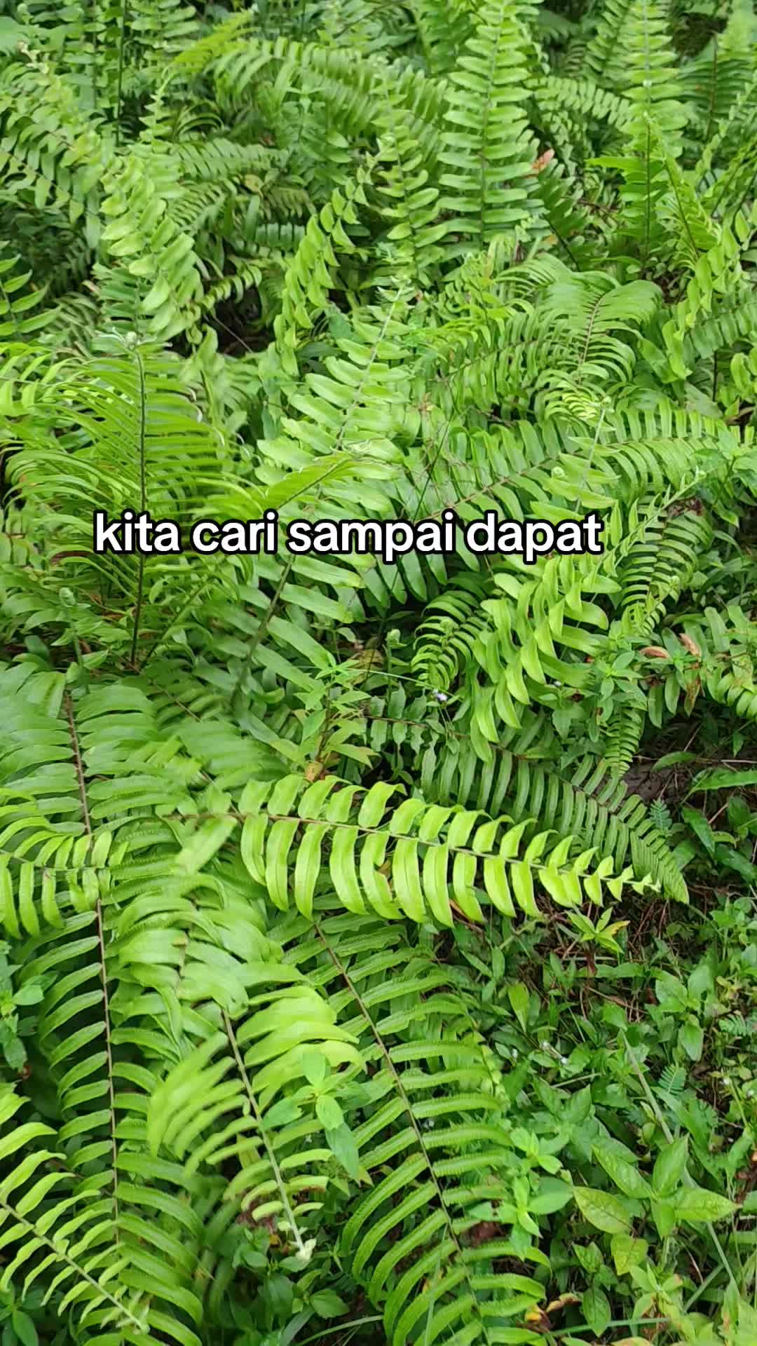 @SAHWI