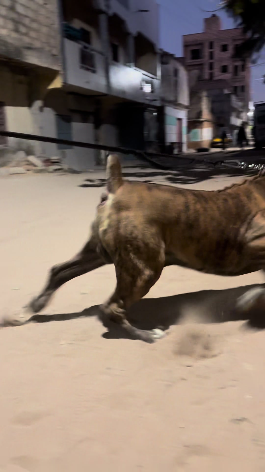 @Irie Boerboels Sn