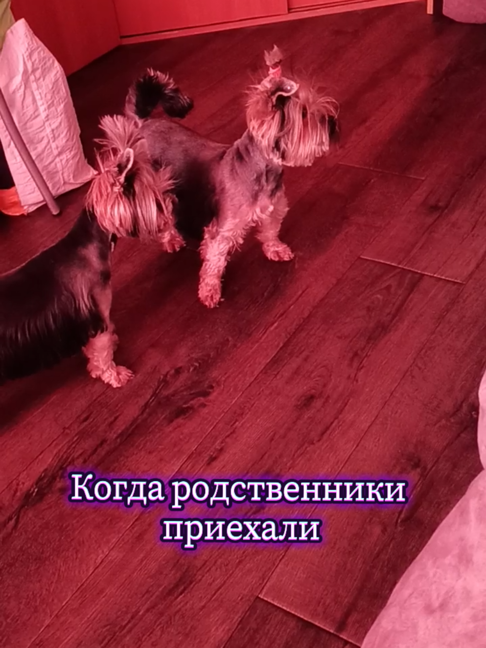 @Соня и Бетти ❤️