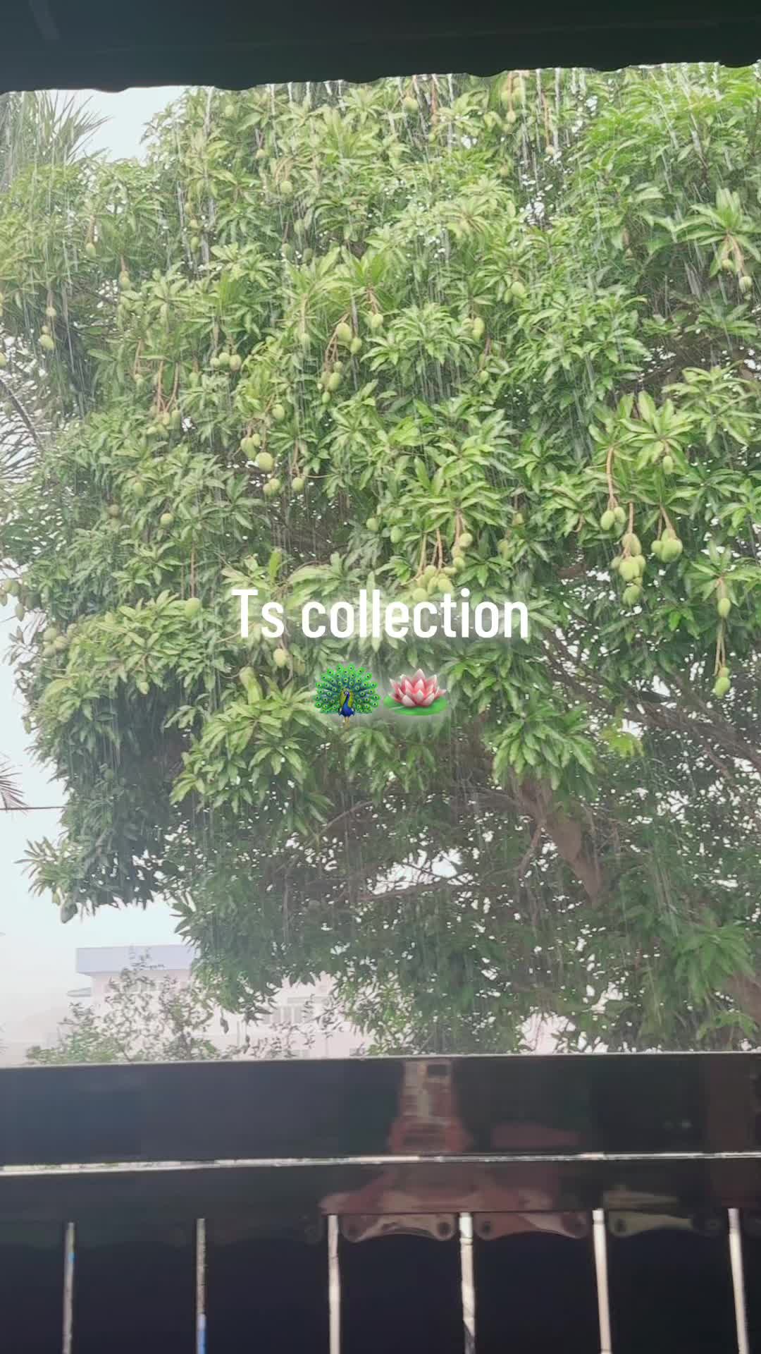 @Isha0531