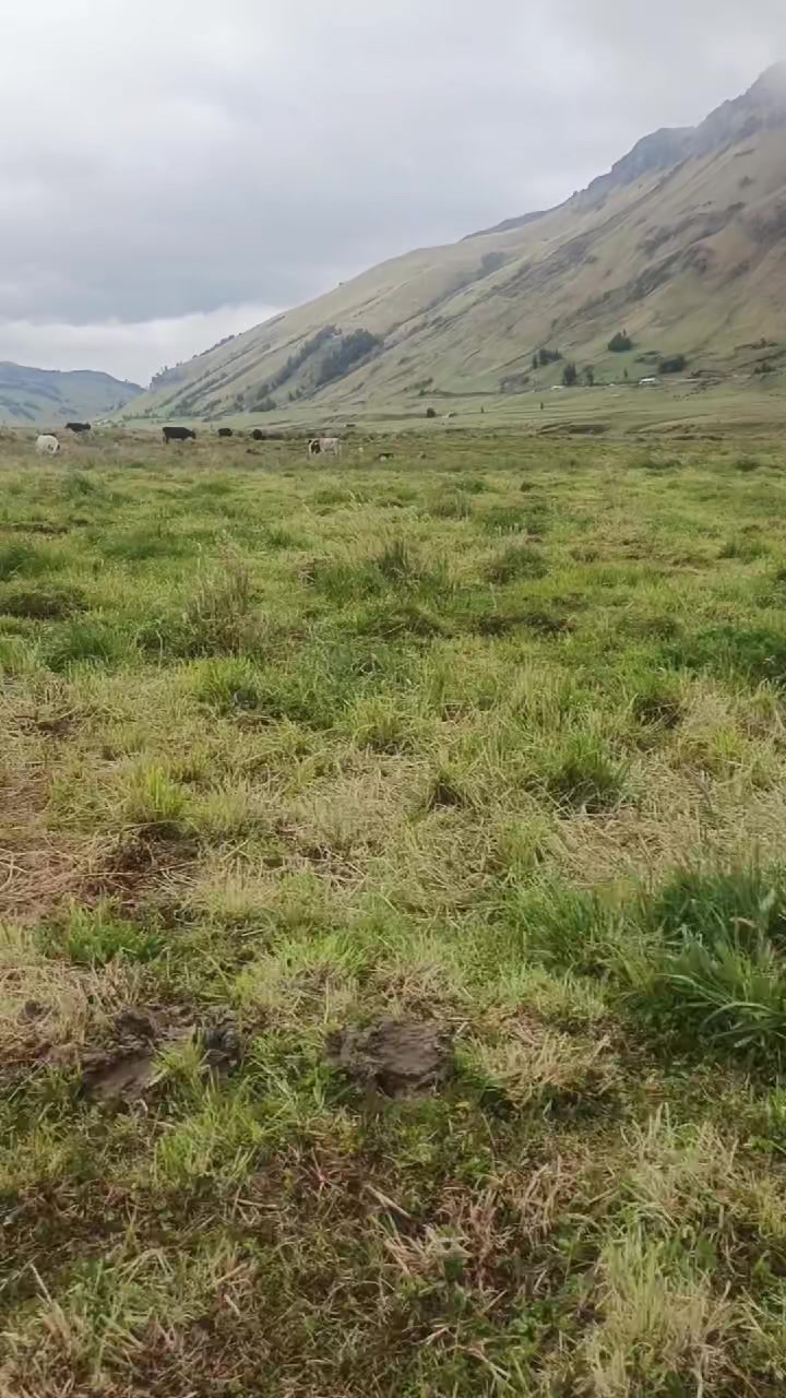 @Belén Roldán ❤️🩹🥺