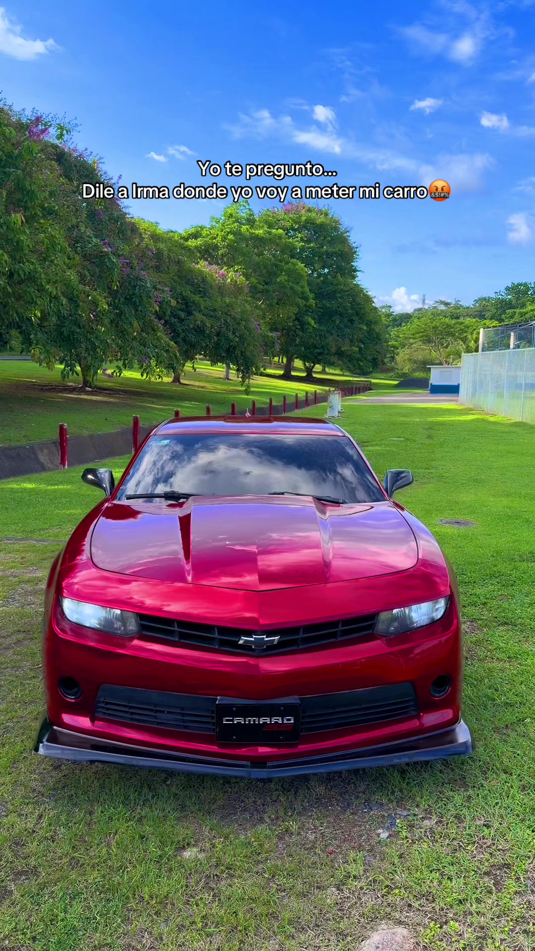 @Red Camaro👺