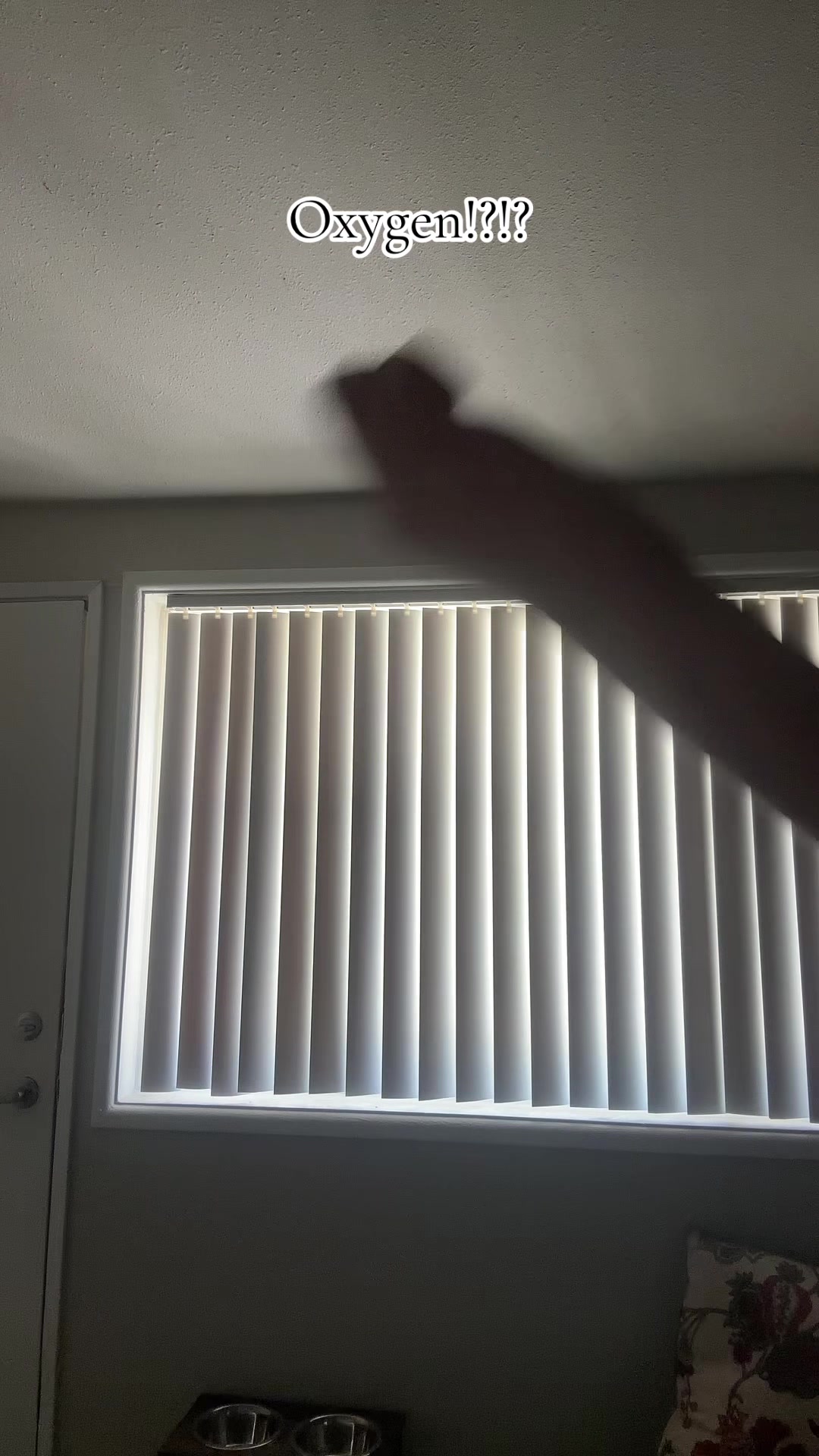 @roseyicequeen22