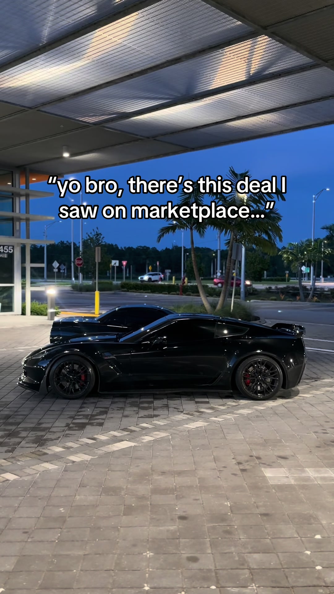 @collier🦇