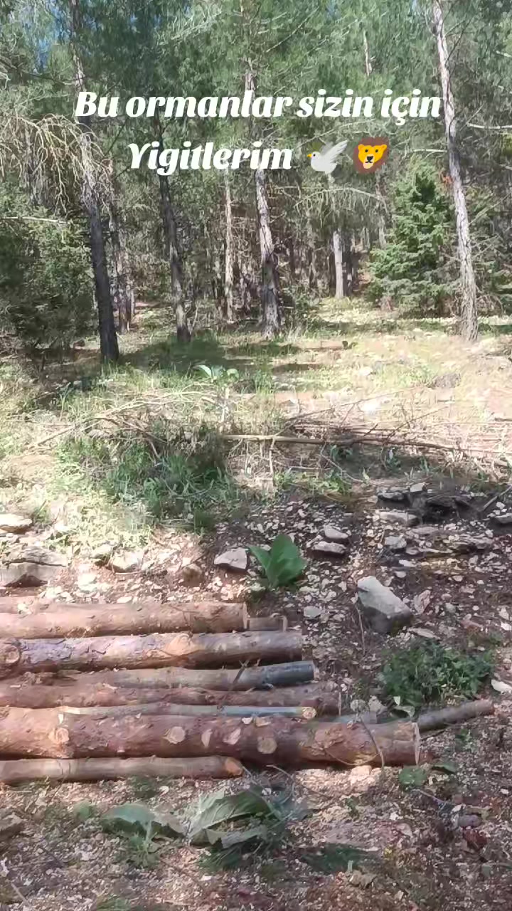 @ibrahim odabaş
