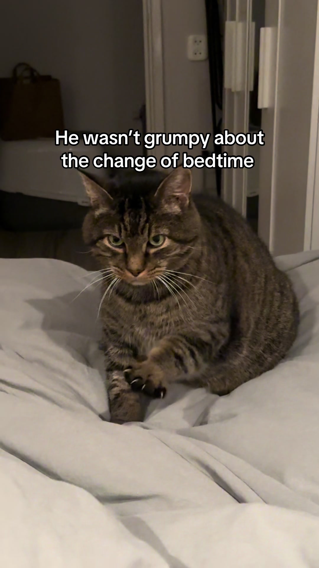 @Joep_the_ rescuecat