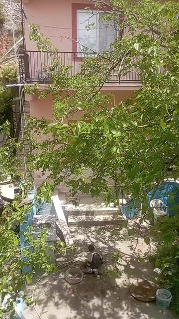 @32 Yörük mercangül 🌹 💕💕💕32