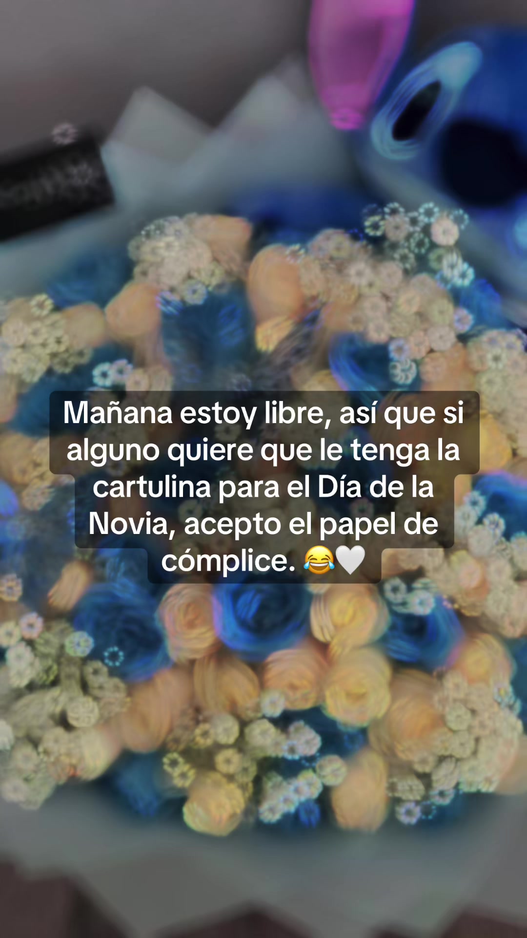 @agustinacardoso7