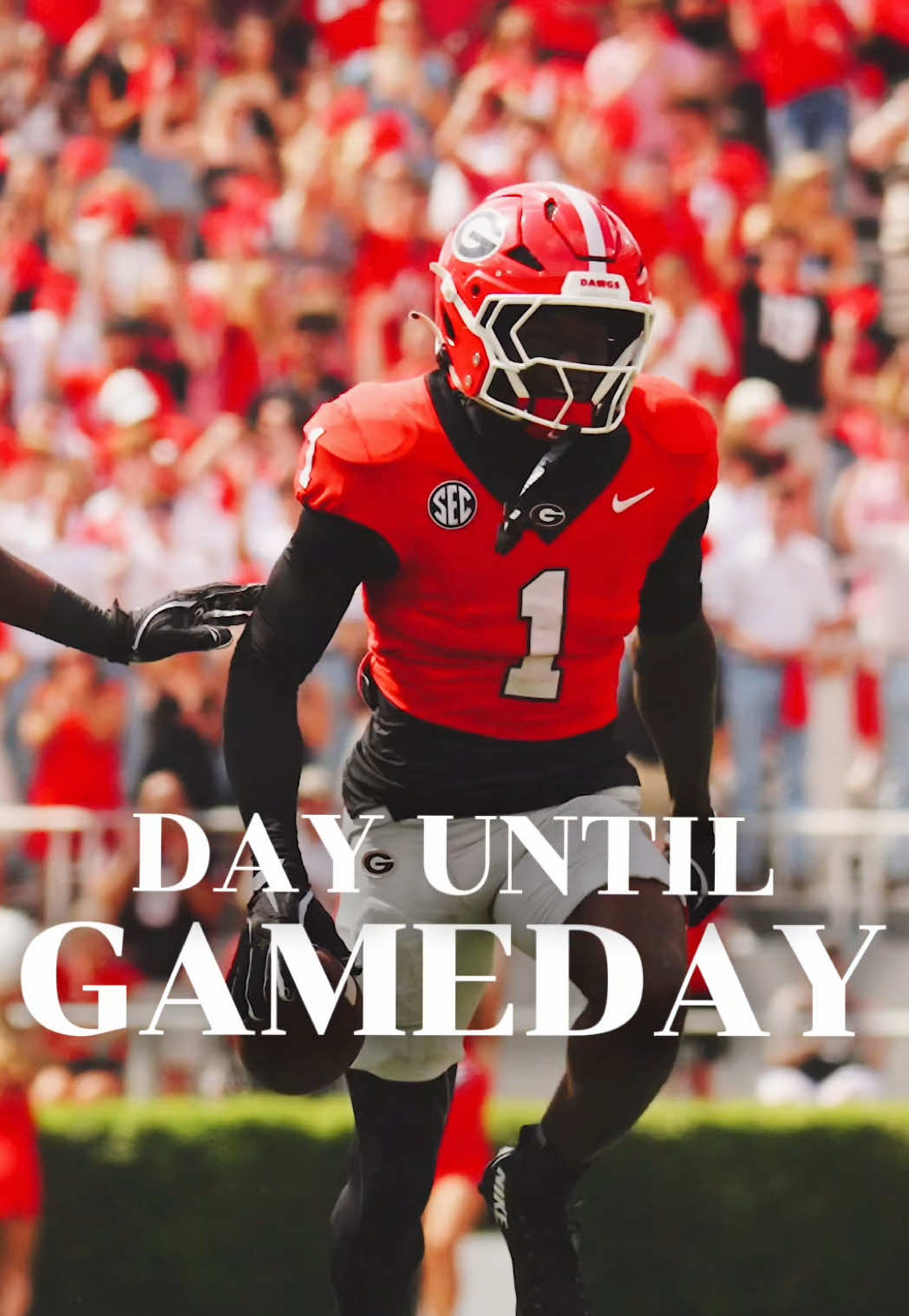 @Georgia Football