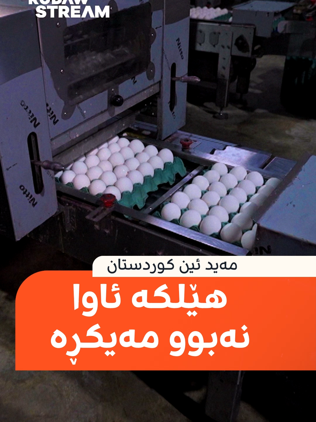 @Rudaw Stream