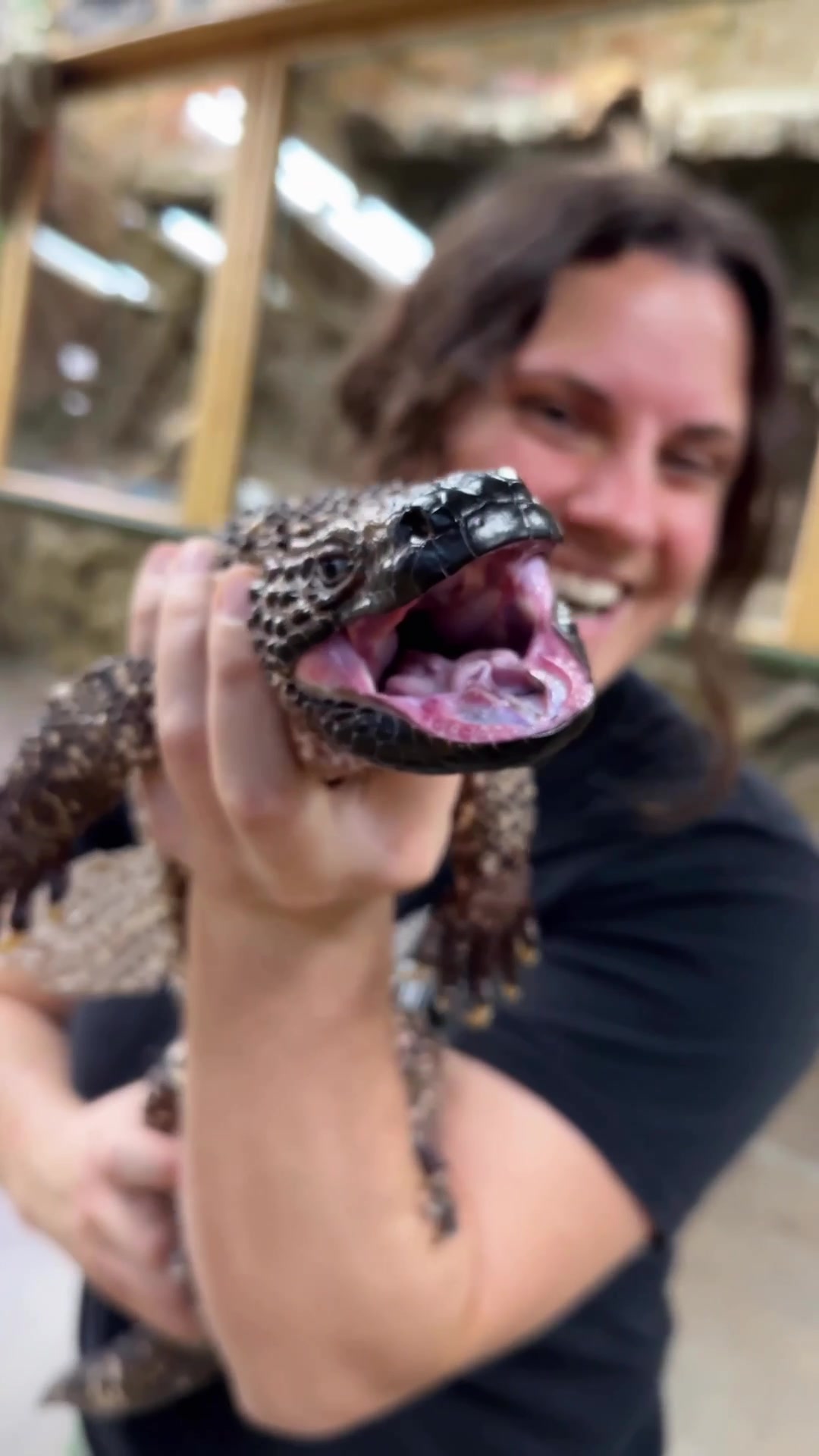 @The Reptile Zoo
