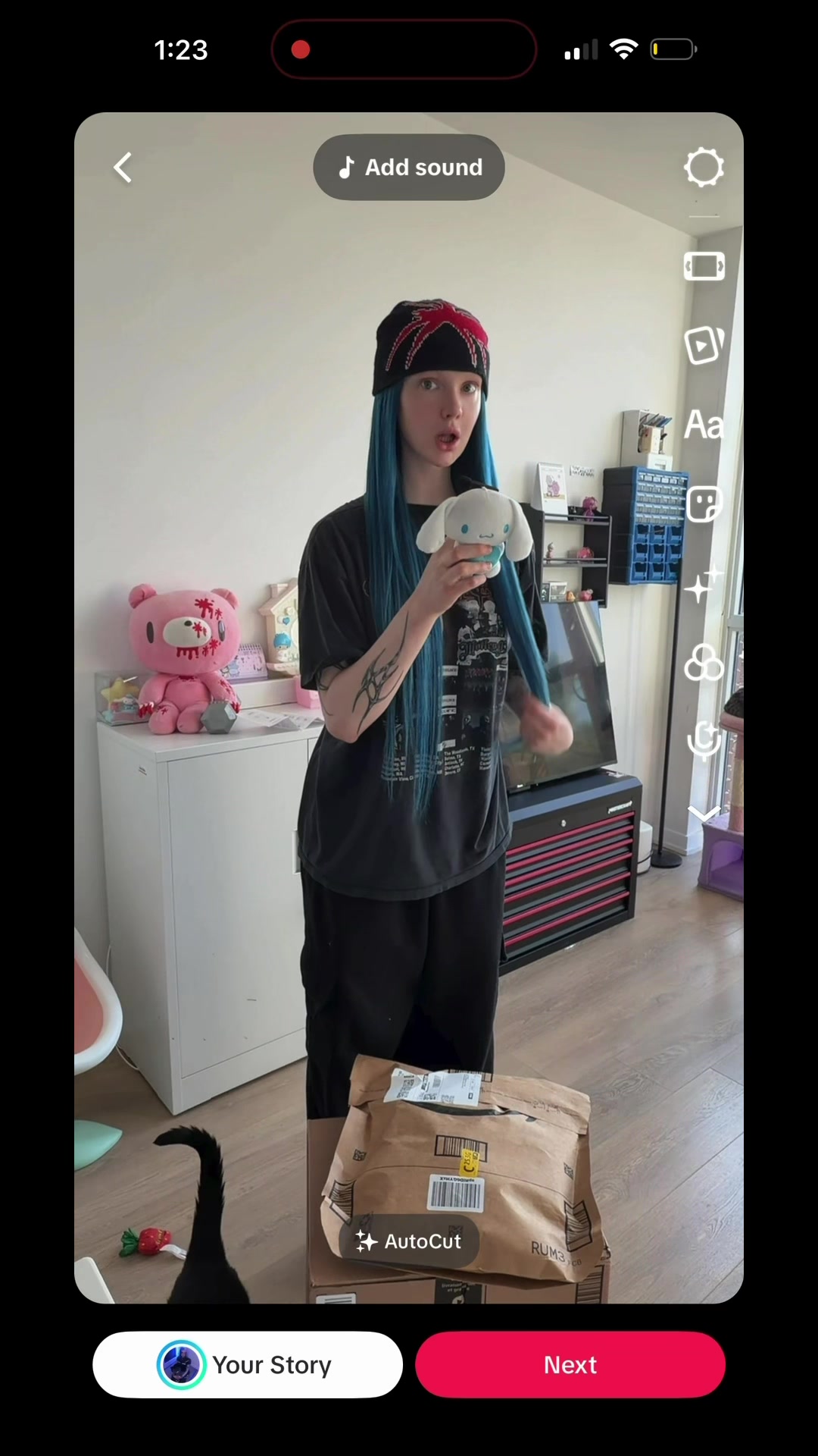 @awestarkitty