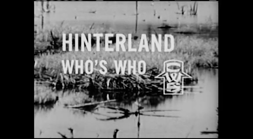 @Hinterland Who’s Who