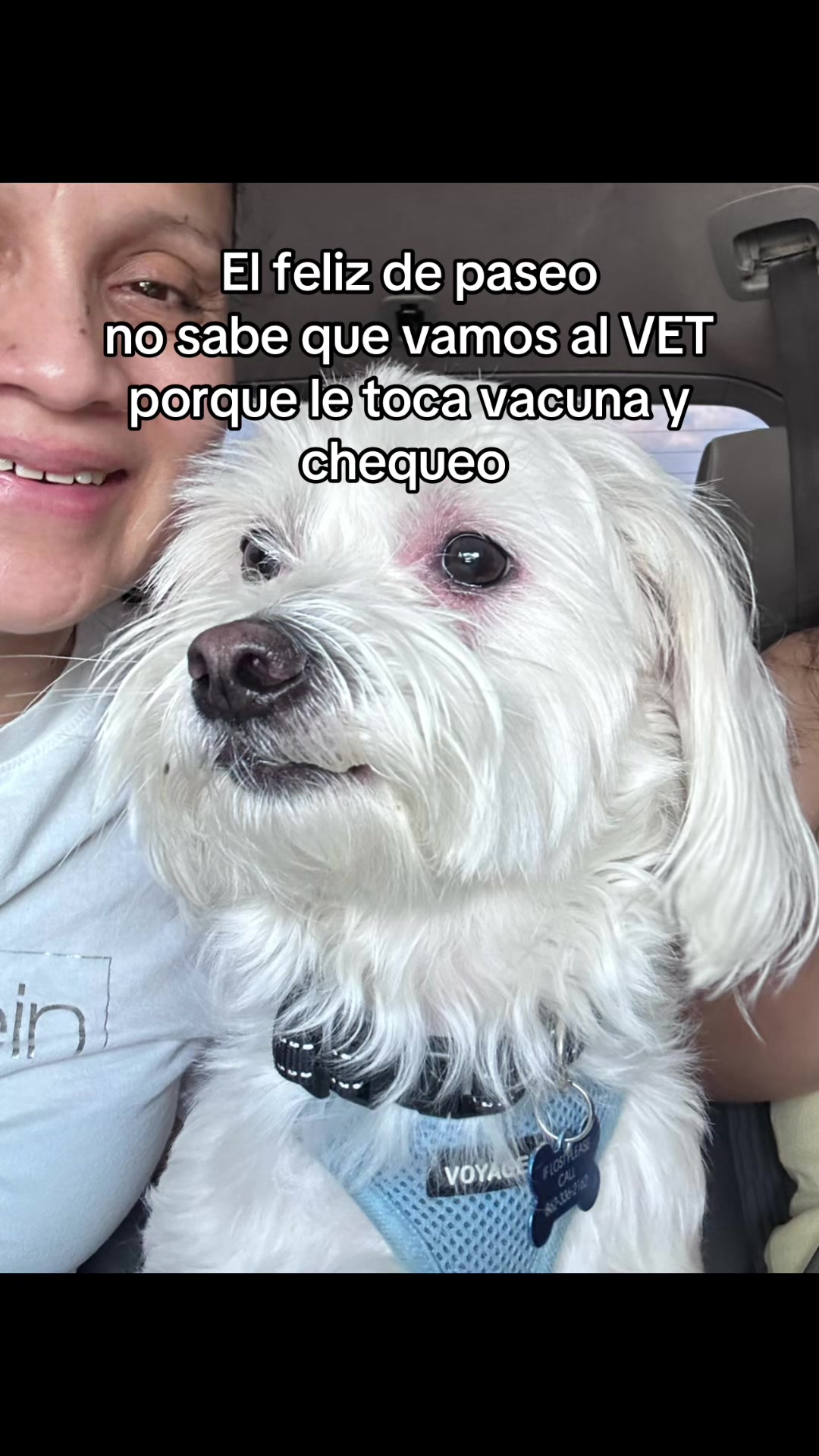 @💜Leo mi hijo de 4🐾🥰💜