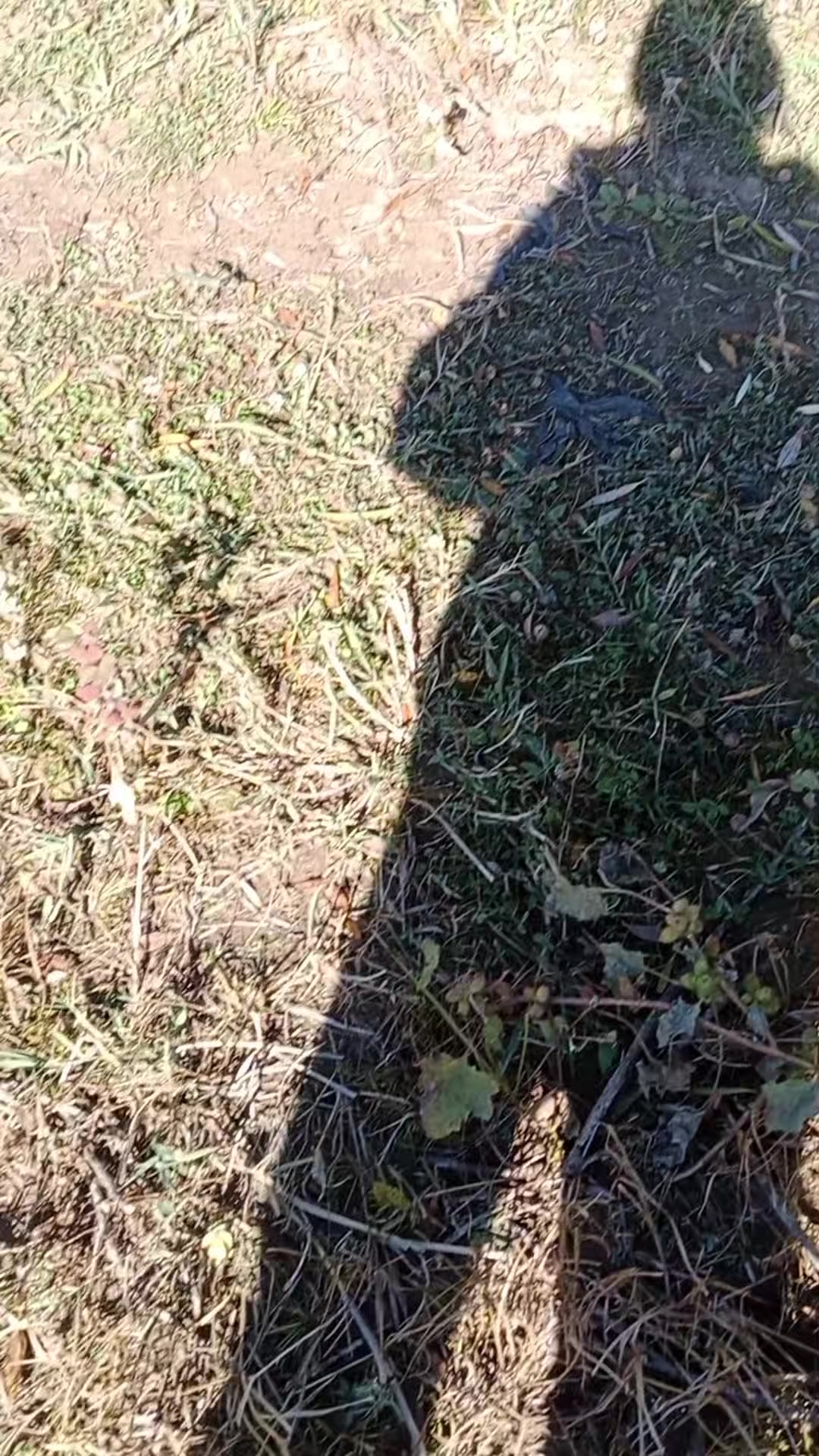 @Николай