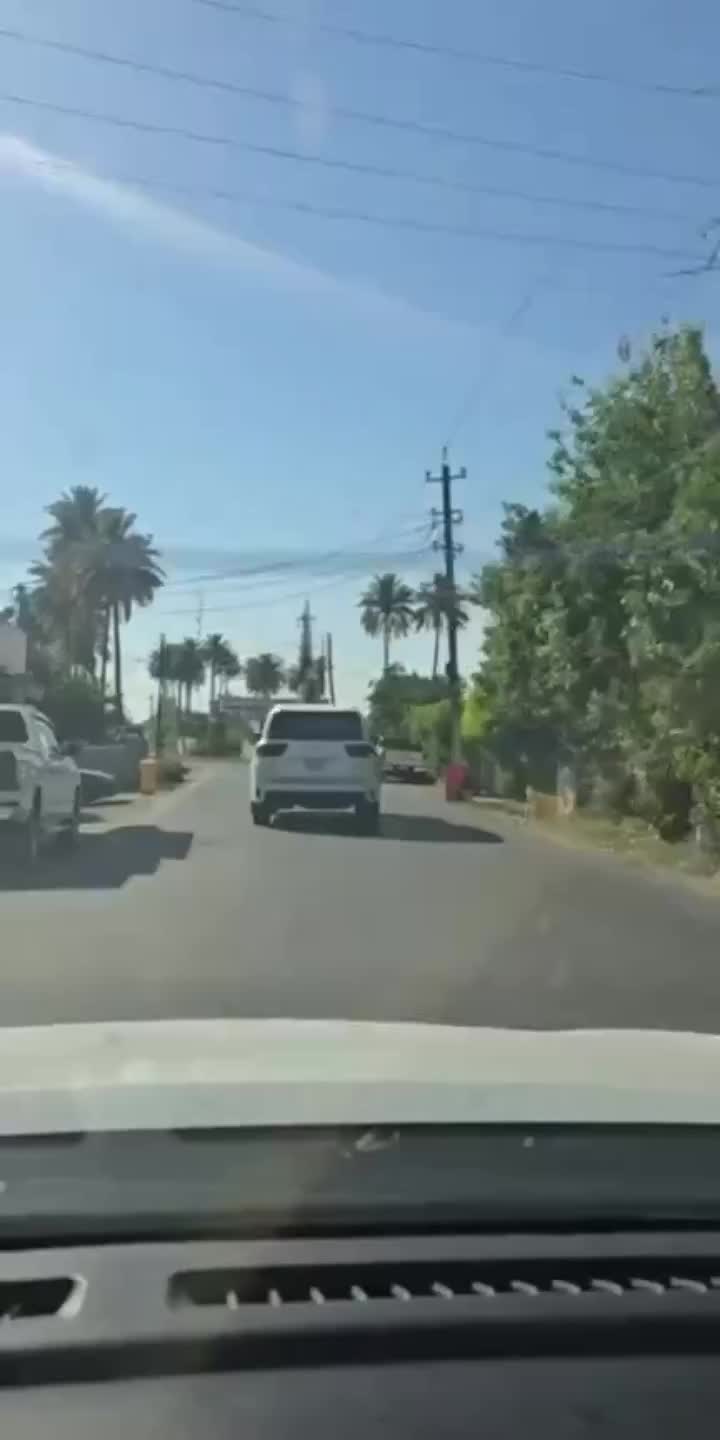 @محمد سيزر