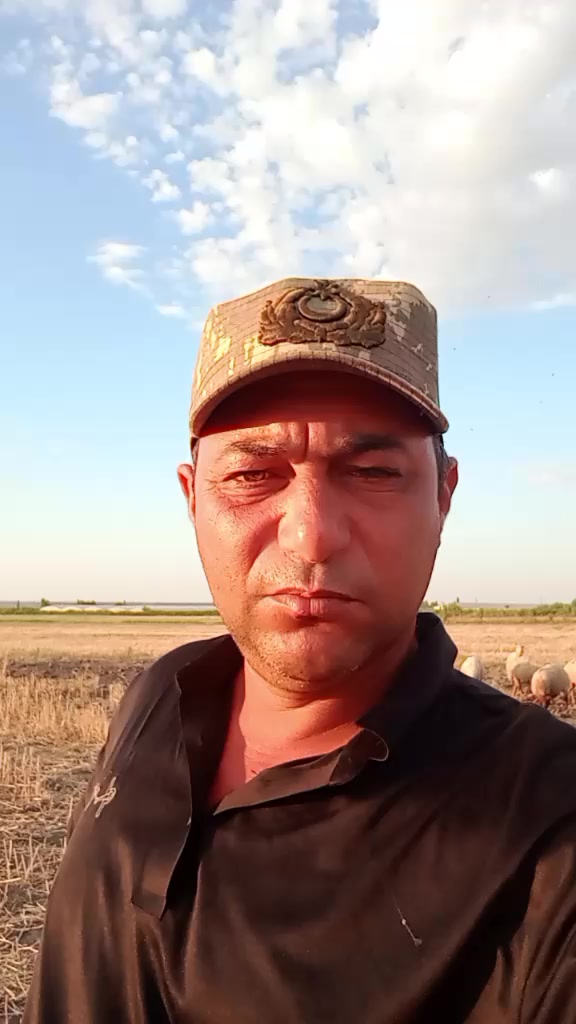 @Daqlı 547