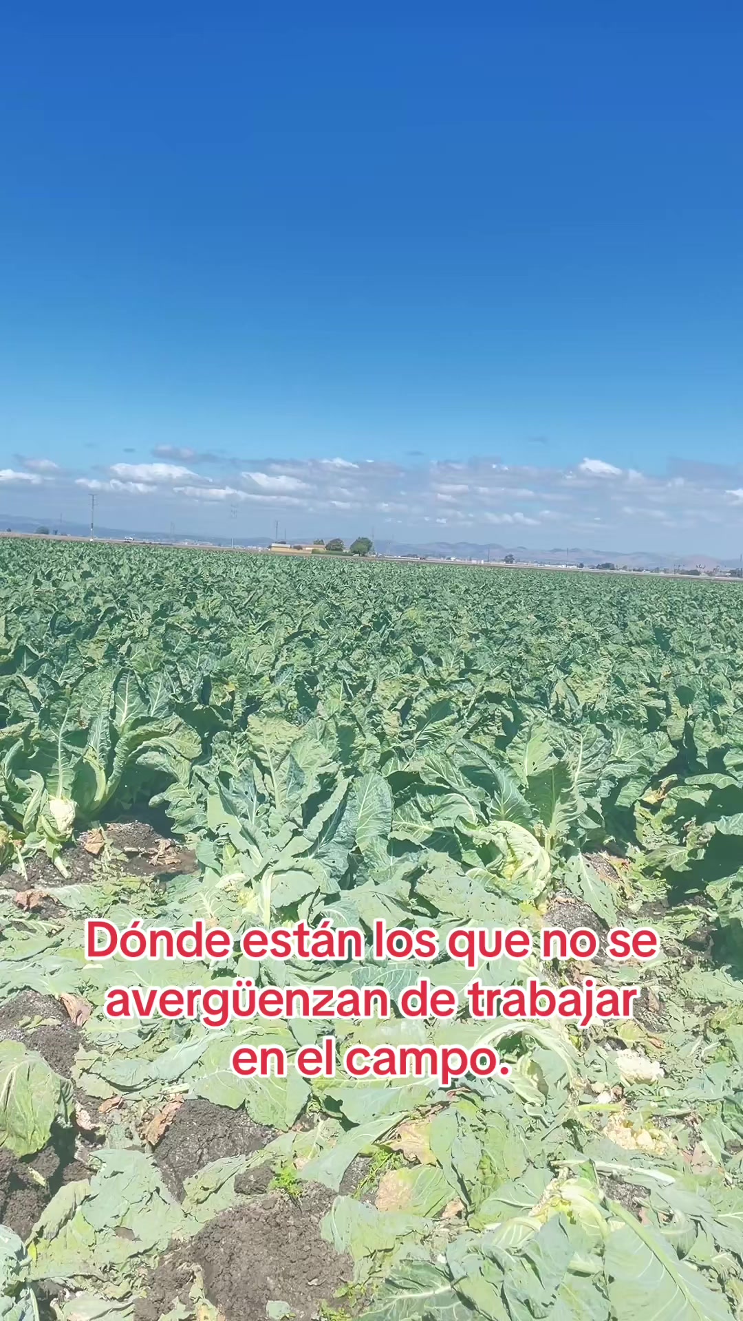 @🍓🍓Donita Catarina🍓🍓