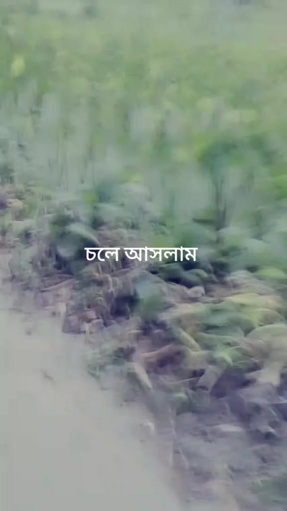 @নো পেম নো পেরা অনলি একা একা 😎