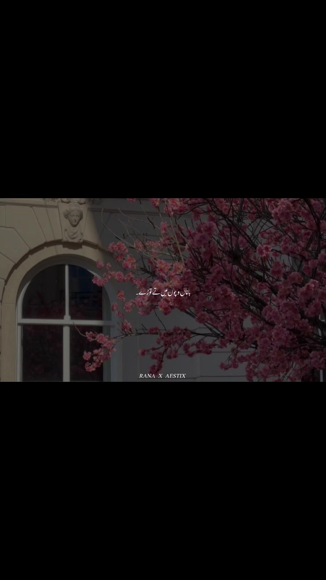 @𝙧𝙖𝙣𝙖_𝙖𝙚𝙨𝙩𝙞𝙭❕