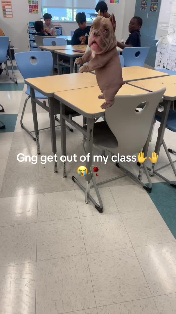 @Probablynotzai