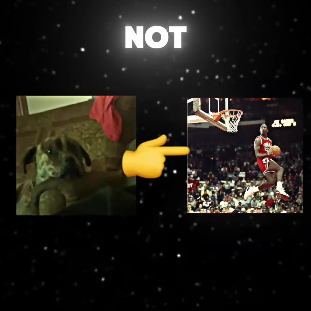 @Edenforbes11