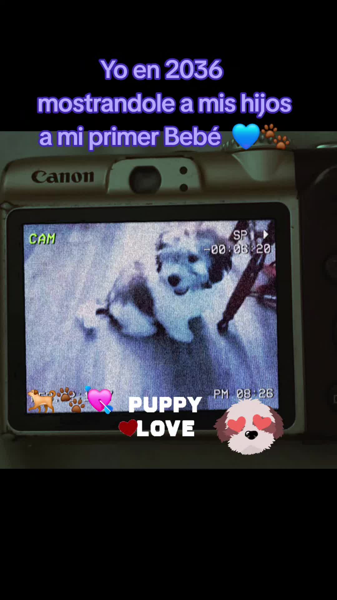@Coco 💙🐶🐾