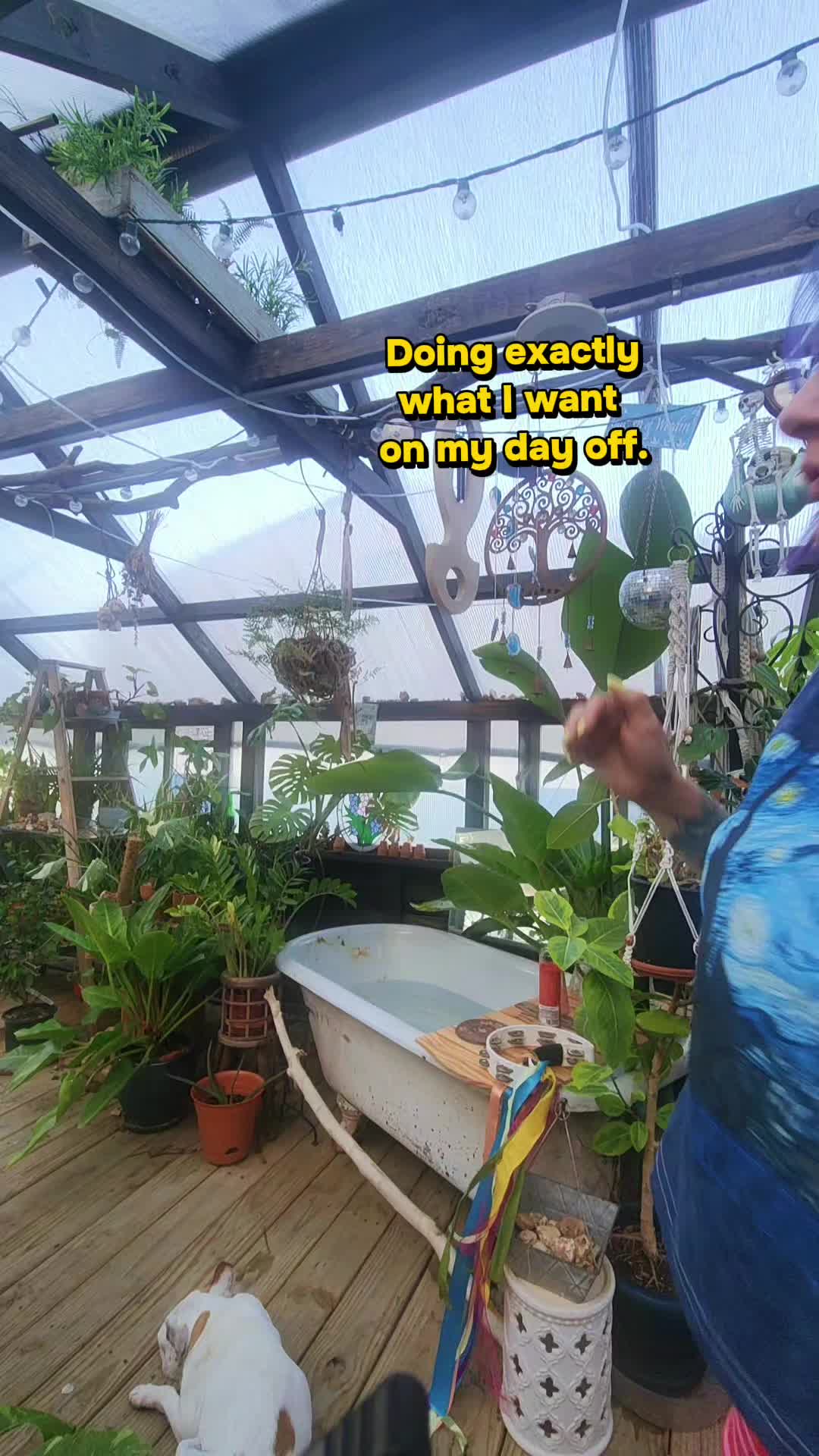 @plantymama🍄🪴💚