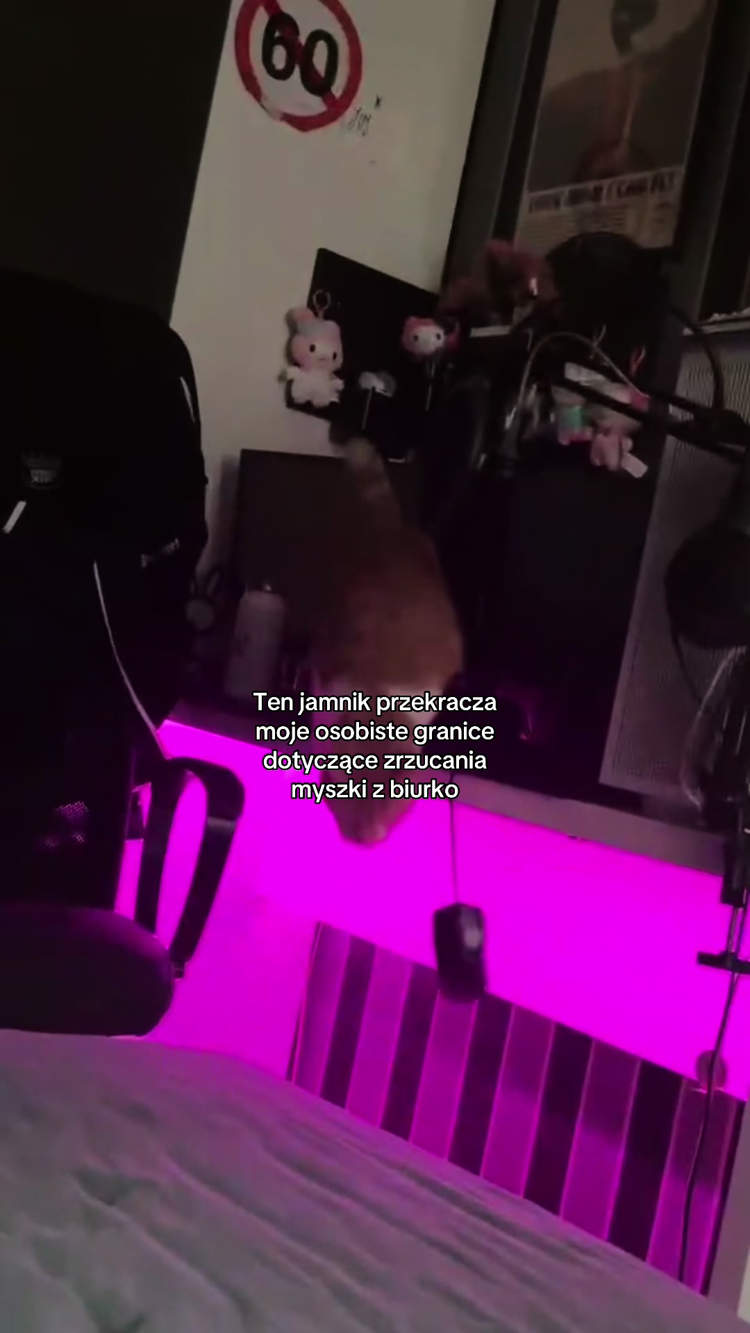 @jajoglowie