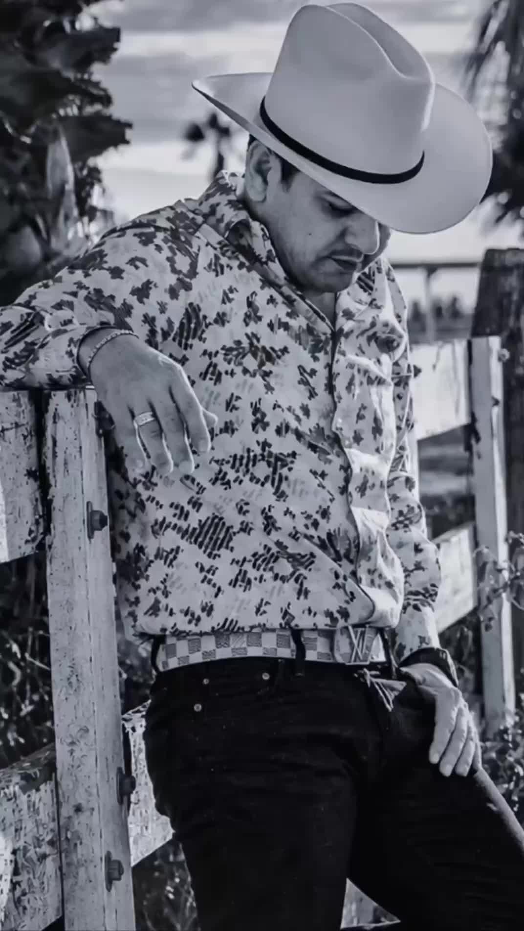 @El Potro de Sinaloa