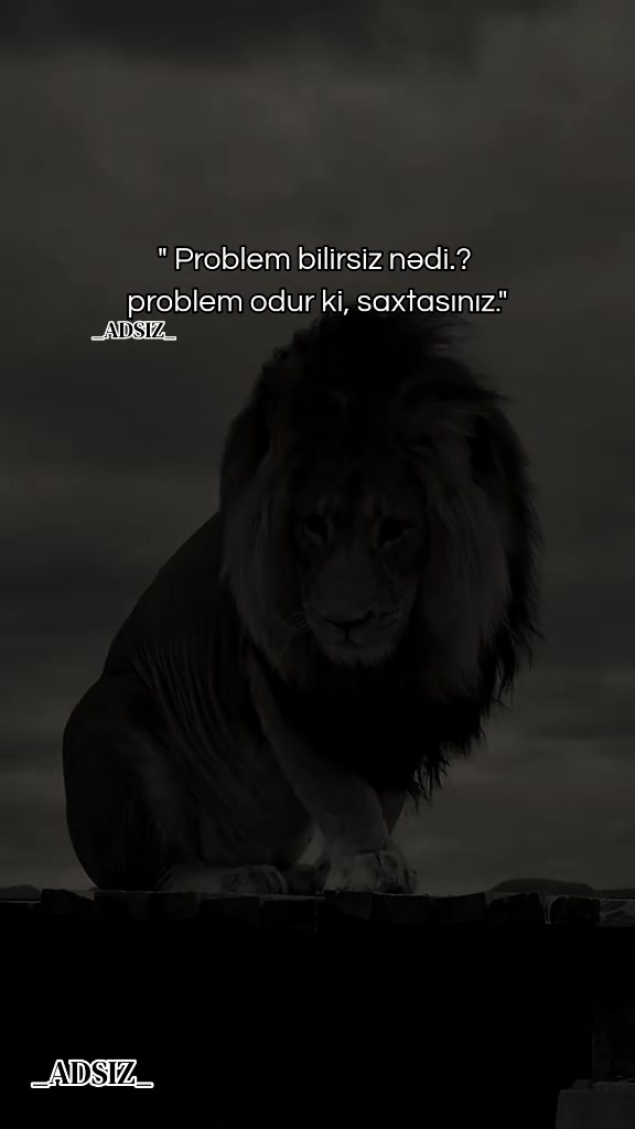 @_ADSIZ_