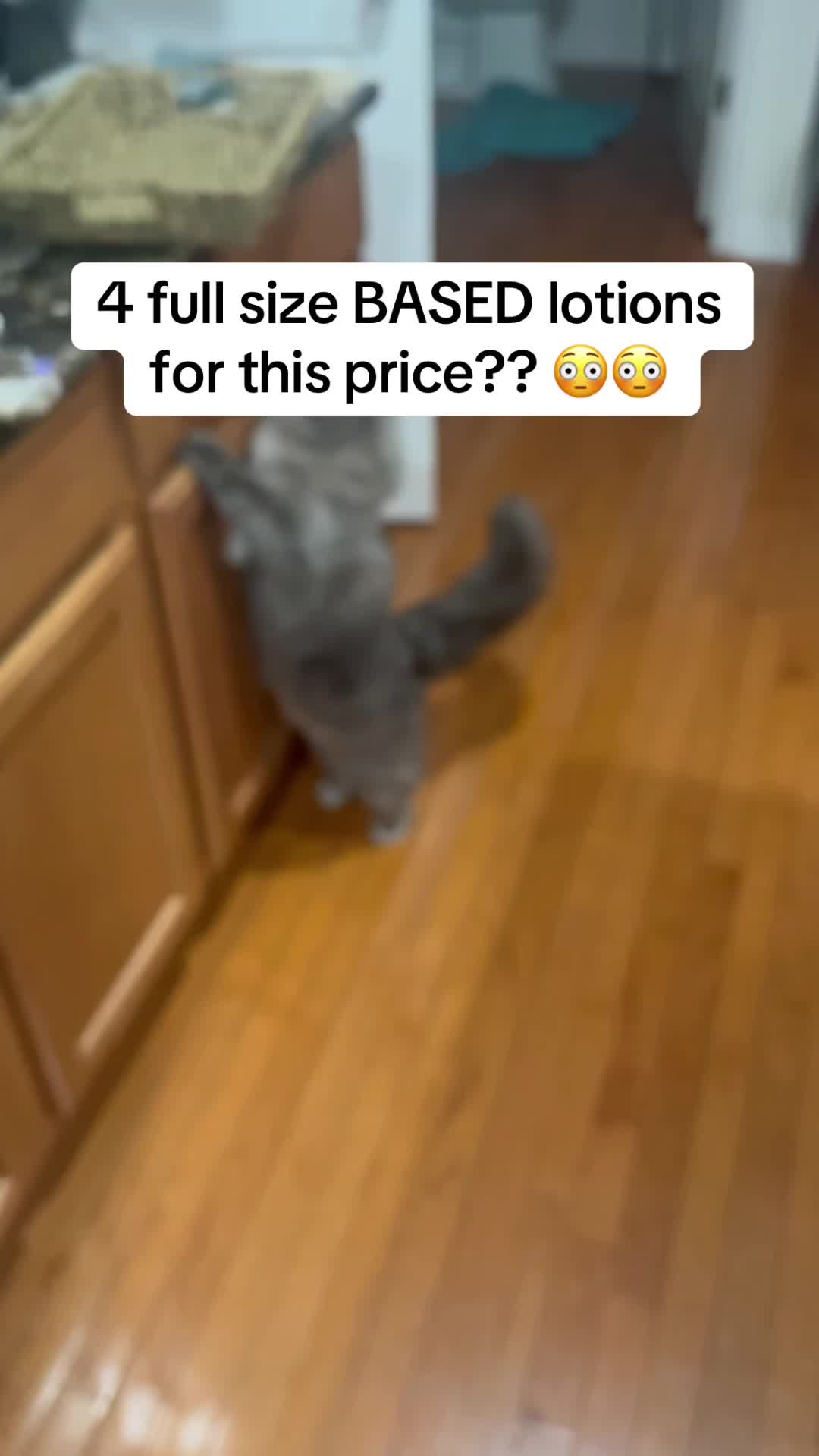 @dealzhunterrr