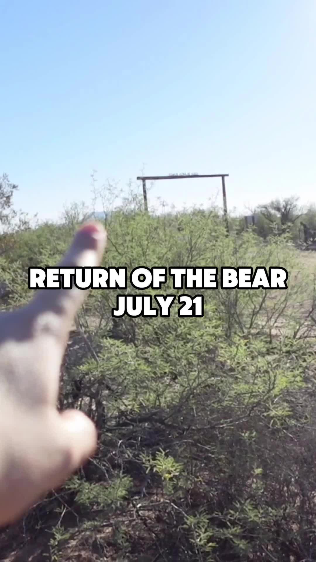 @Bearman