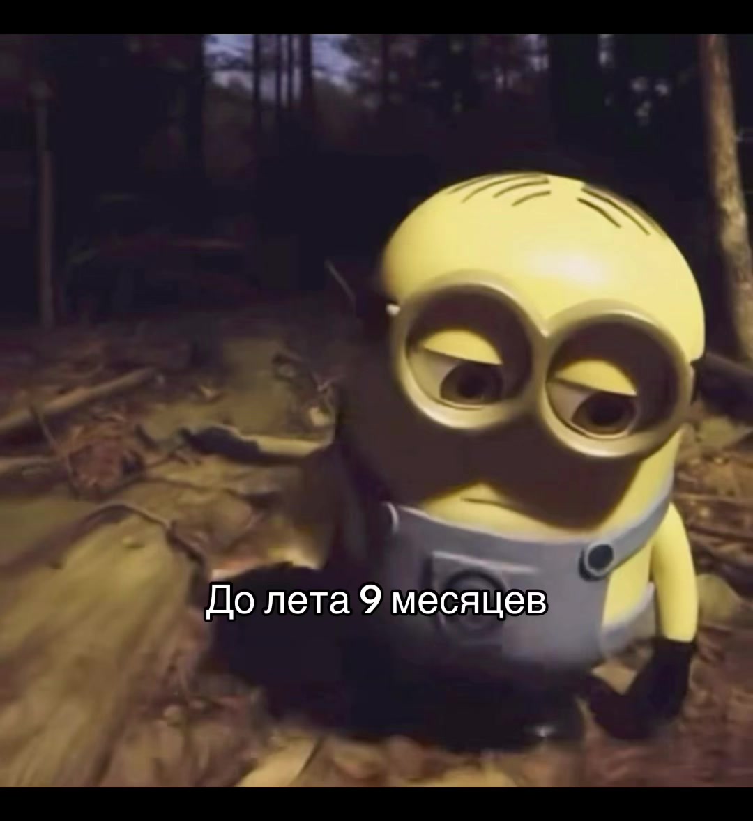 @Moonlight