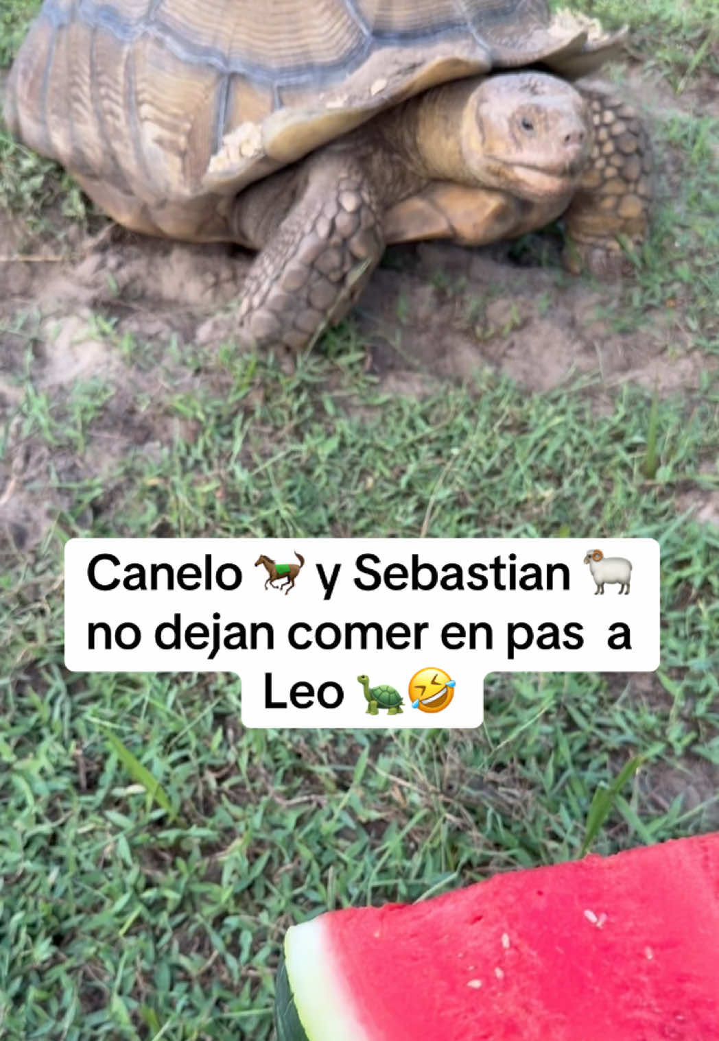 @Jorge Rodriguez
