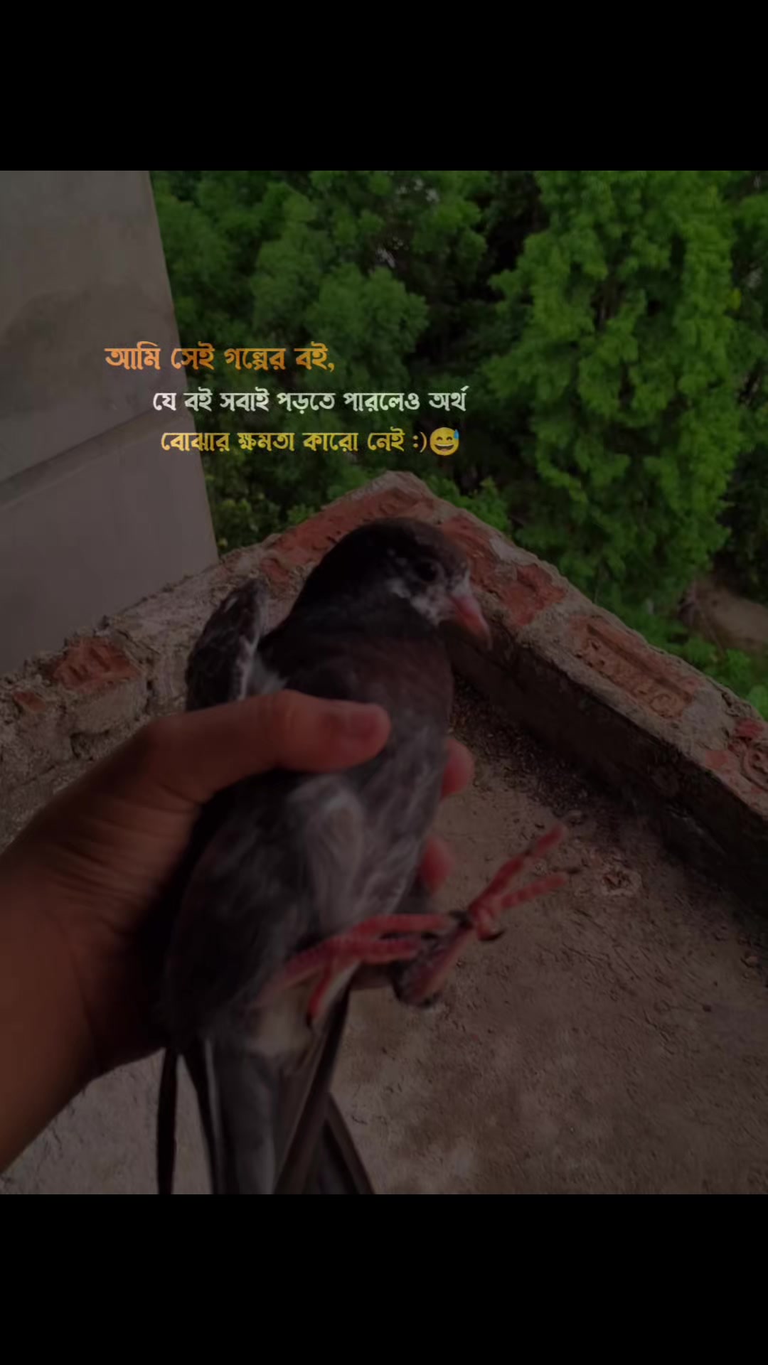 @🍒 𝕔 𝕙 𝕖 𝕣 𝕣 𝕪 🍒