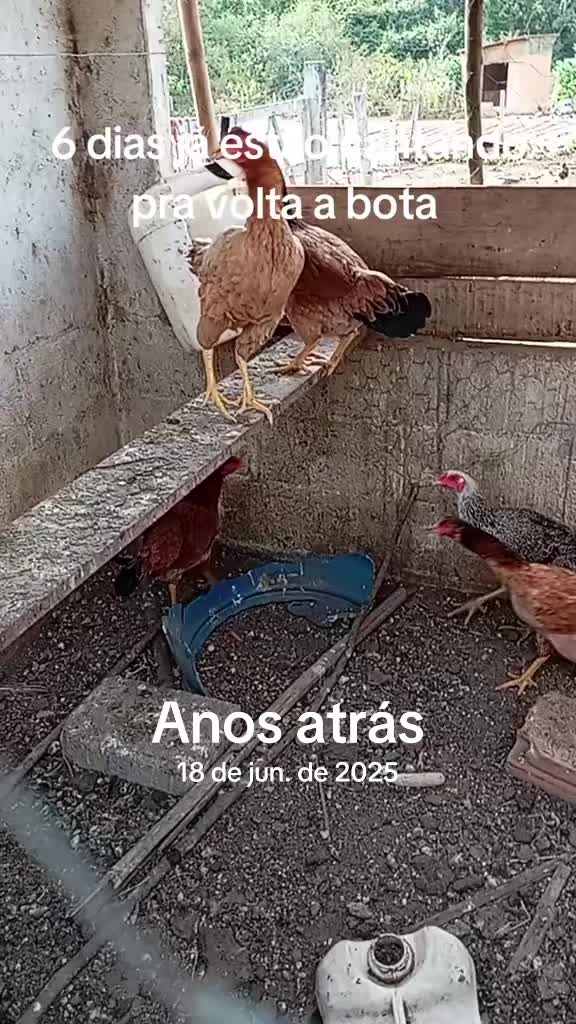 @Silvana Franco /vida na ro&ccedil;a