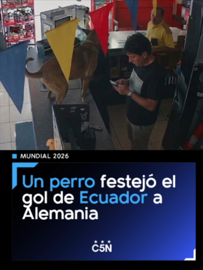 @c5n