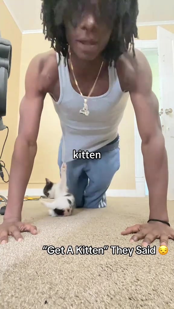 @cats