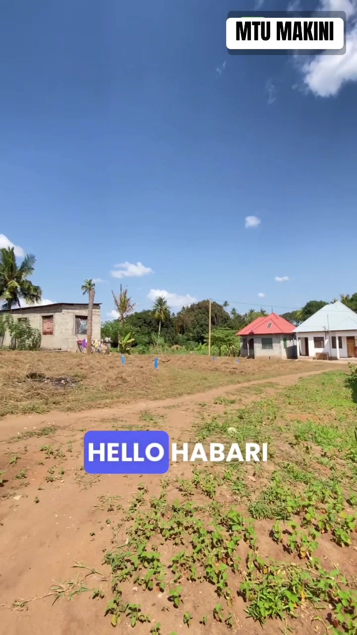 @DALALI_ MAKINI_ KIGAMBONI 1