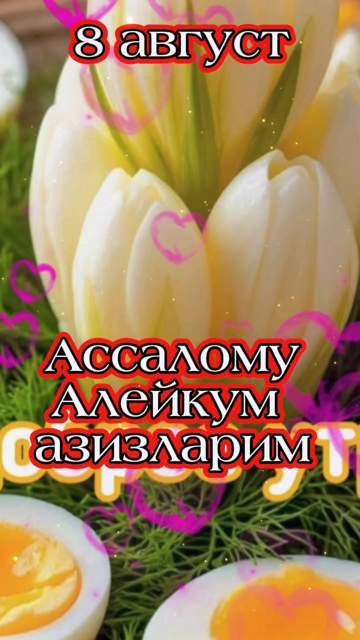 @Ностальгия✅️
